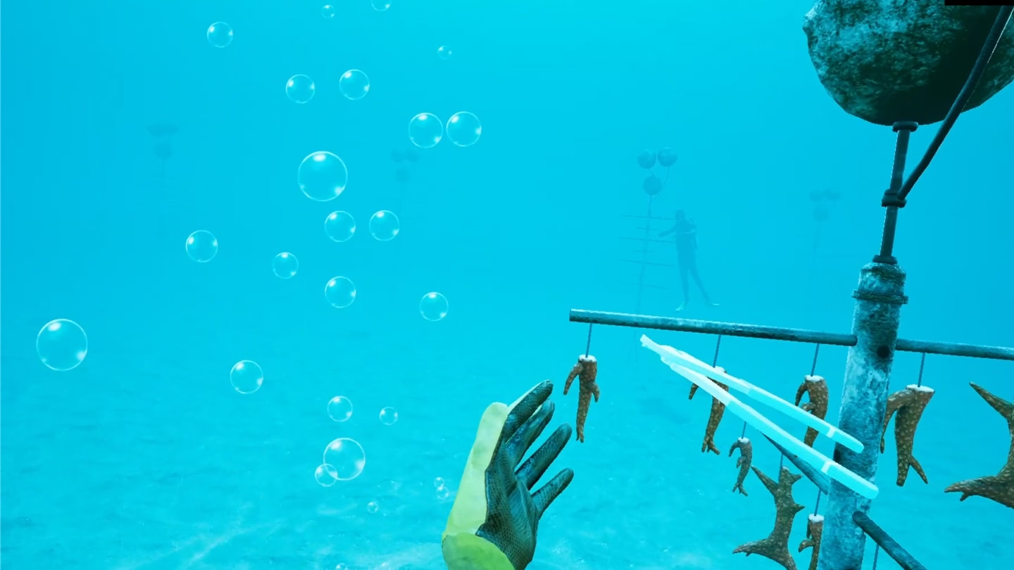 #6. How to Rescue a Reef LITE (Meta) 게시자: Rescue a Reef program